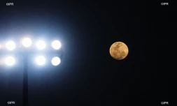lune 