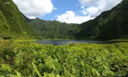 Météo Réunion 