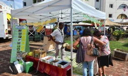 TCO : action de sensibilisation compostage 