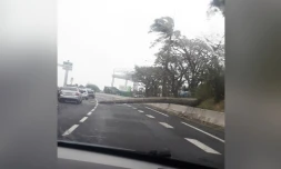 Saint-André : un arbre tombe sur la quatre voies