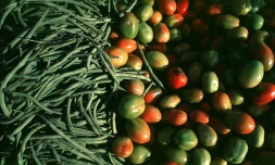 légumes