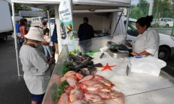 Un marché d'aquaculture péï organisé par l'interprofession ARIPA