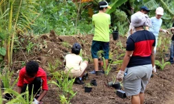 Département : 700 000 plants déjà mis en terre 