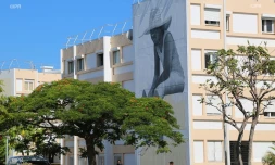 Les street artistes Le Port