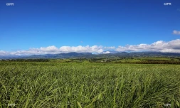 paysages est 