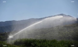 irrigation  canne à sucre 