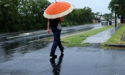 pluie 