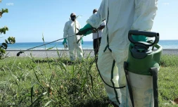veille sanitaire au Port 