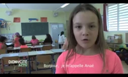 Dionycité