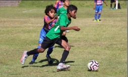 Danone Nations Cup : les jeunes footballeurs se mobilisent pour la Banque Alimentaire