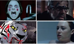 Festival Même pas Peur 2016