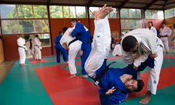 Judo