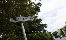 Bras Fusil