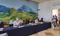 Le Tampon : une quarantaine d'affaires adoptées