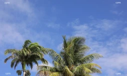 météo réunion 