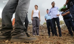 Miranville carrière