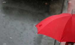 pluie