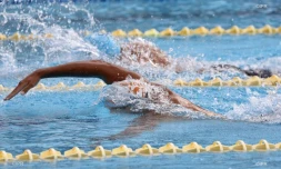 Natation