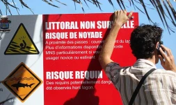 Panneaux requins à Saint-Pierre