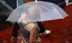 pluie 
