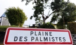 ville de la plaine des palmistes 
