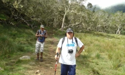 Décès Yan chasseur Band Cochon