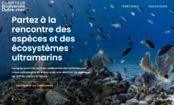 compteur biodiversité ultramarine