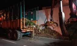 Territoire de la Cinor : les collectes nocturnes de déchets verts ont débuté