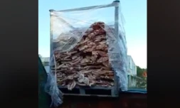 viande avariée, jetée, gaspillage alimentaire, Vindemia, poubelle