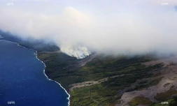 Incendie, Grand brûlé, Sainte-Rose, feu, végétation