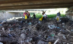 Nettoyage Ravine des Lataniers