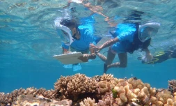 Réserve marine : des élèves de CM2 auscultent le lagon 