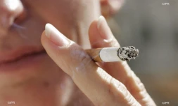 cigarettes 