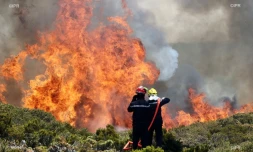 Incendie du Maïdo 8 novembre 2020