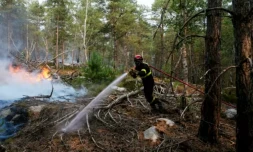 Un pompier lutte contre un incendie dans la forêt de Fontainebleau, à Noisy-sur-Ecole, en Seine-et-Marne, le 14 juillet 2026 ( AFP / Dimitar DILKOFF )