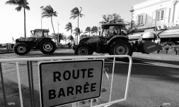 manifestation planteurs 