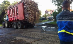 gendarmerie avec les planteurs