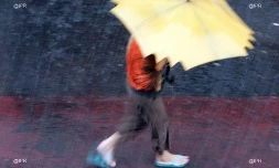 pluie
