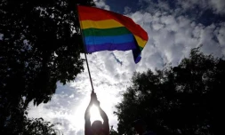 Lutte contre l\'homophobie