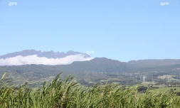 Paysage