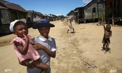 Madagascar 