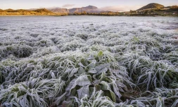 Givre