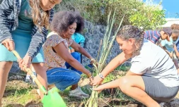 500 végétaux replantés au Guillaume par des écoliers