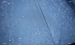 pluie 