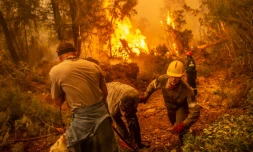 Pompiers et volontaires tentent de venir à bout des flammes dans le village de Glatsona sur l'île d'Eubée, en Grèce, le 9 août 2021