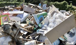 opération démoustication saint-denis