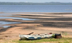 Les rives asséchées du lac Ypacarai, le 5 novembre 2020 à San Bernardino, au Paraguay