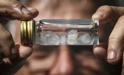 Le professeur en toxicologie Jamie Seymour tient un flacon contenant des méduses irukandji, le 8 avril 2024 à Cairns, en Australie