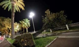 Un arbre arrachĂ© sur la Promenade des Anglais Ă Nice, dans le sud de la France, lors du passage de la tempĂȘte Eleanor, le 3 janvier 2018