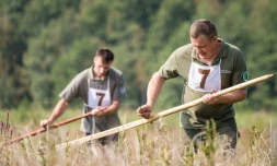  Des participants au championnat du monde de fauchage à Trzcianna, dans le nord-est de la Pologne, le 10 septembre 2016